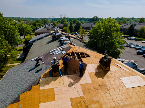 Trusted Emergency Roof Repair service in Woodburn, KY - Brentwood Metal Roofing
